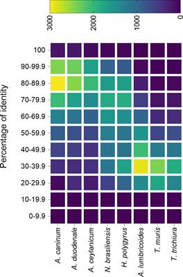 Rodent Models for the Study of Soil-Transmitted Helminths: A Proteomics Approach